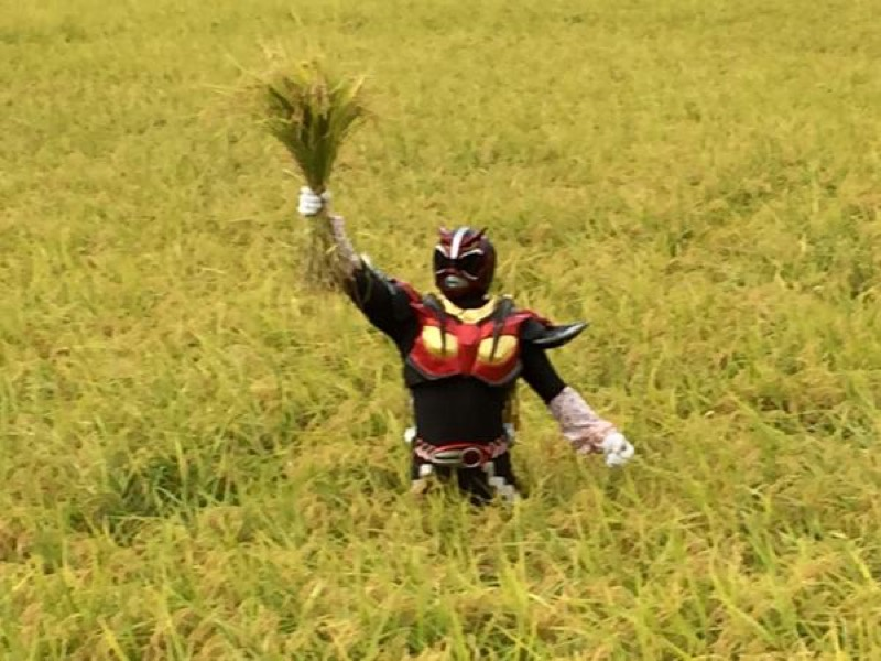Illustration for article titled In Japan, There's a Superhero Who...Plants Rice